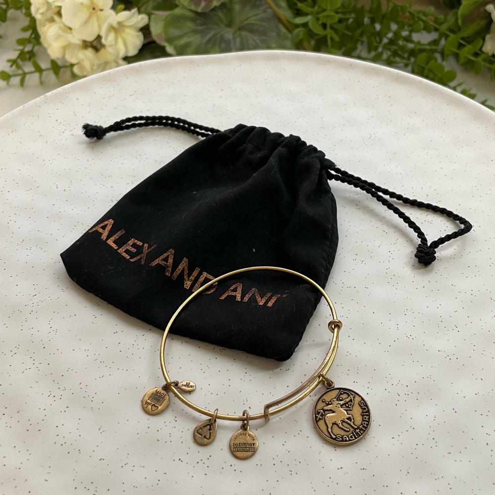 Alex and Ani Sagittarius Charm Bangle